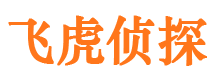 新罗外遇调查取证